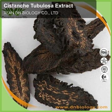 Cistanche Tubulosa Extract