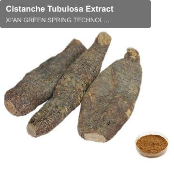 Cistanche Tubulosa Extract