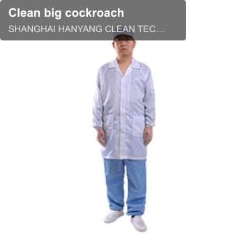Clean big cockroach