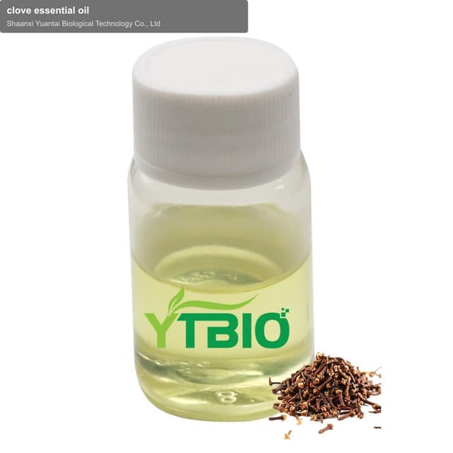 clove essential oil