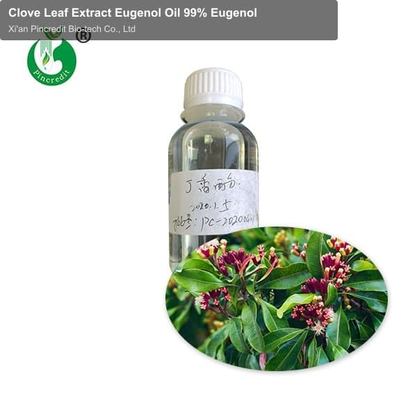 Clove Leaf Extract Eugenol Oil 99% Eugenol