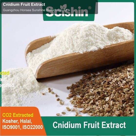 Cnidium Fruit Extract