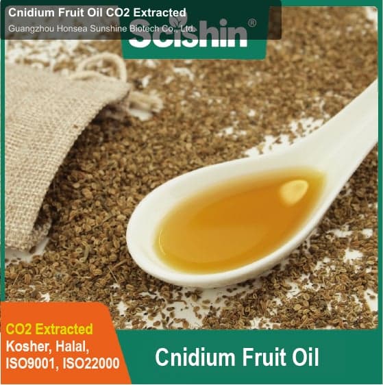 Cnidium Fruit Oil CO2 Extracted