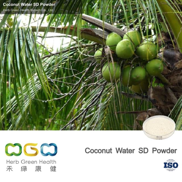 Coconut Water SD Powder