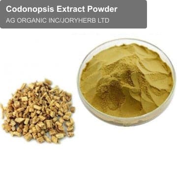 Codonopsis Extract Powder