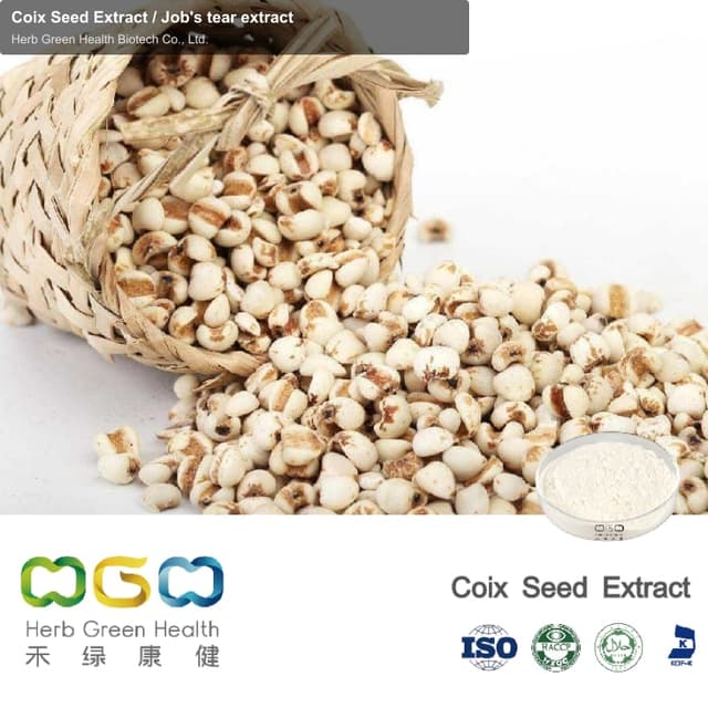 Coix Seed Extract / Job's tear extract