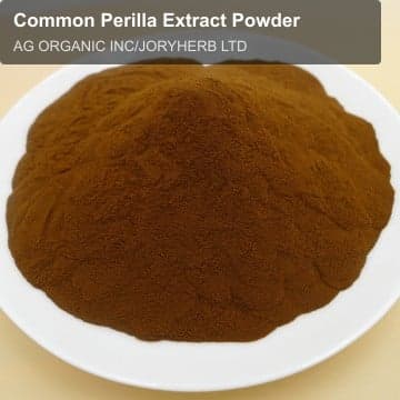 Common Perilla Extract Powder