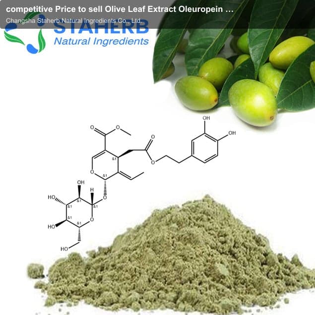 competitive Price to sell Olive Leaf Extract Oleuropein & Hydroxytyrosol