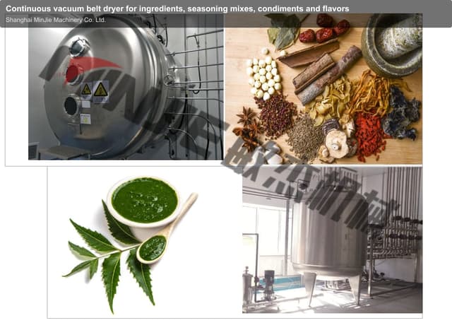 Continuous vacuum belt dryer for ingredients, seasoning mixes, condiments and flavors