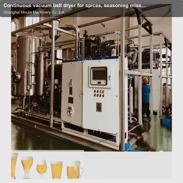 Continuous vacuum belt dryer for spices, seasoning mixes, condiments and other flavors
