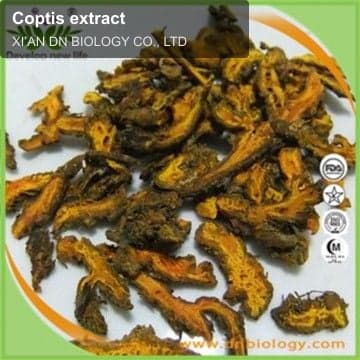 Coptis extract
