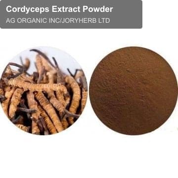 Cordyceps Extract Powder