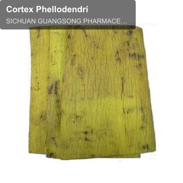 Cortex Phellodendri