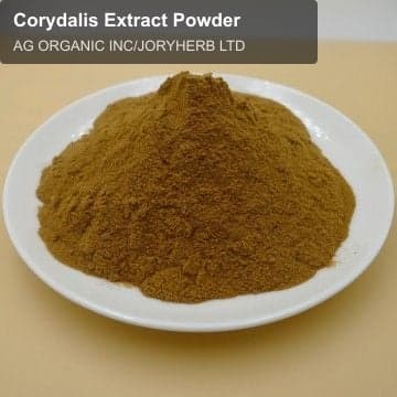 Corydalis Extract Powder