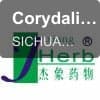 Corydalis Rhizoma Extract