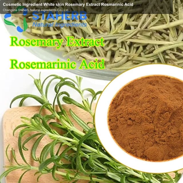 Cosmetic Ingredient White skin Rosemary Extract Rosmarinic Acid