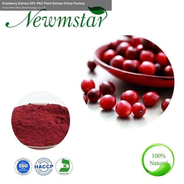 Cranberry Extract 25% PAC Plant Extract China Factory