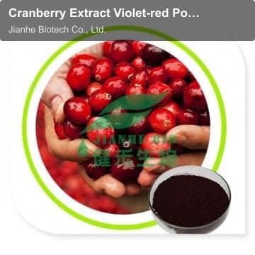 Cranberry Extract Violet-red Powder