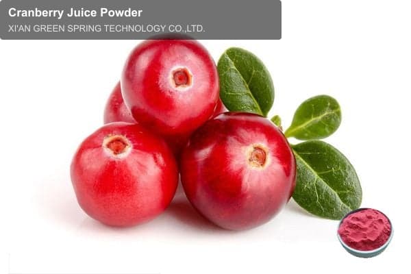 Cranberry Juice Powder