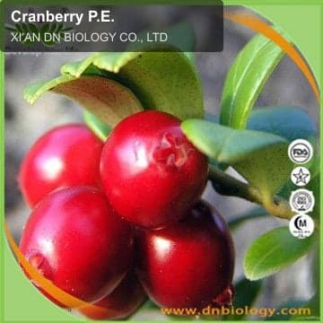 Cranberry P.E.