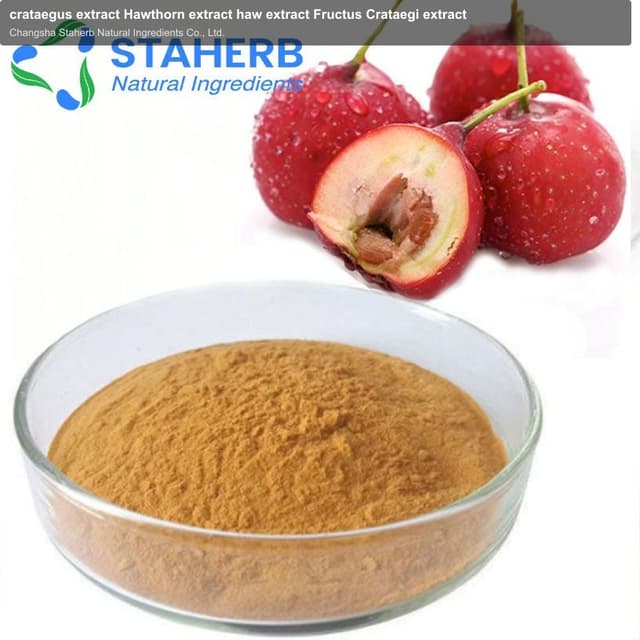 crataegus extract Hawthorn extract haw extract Fructus Crataegi extract