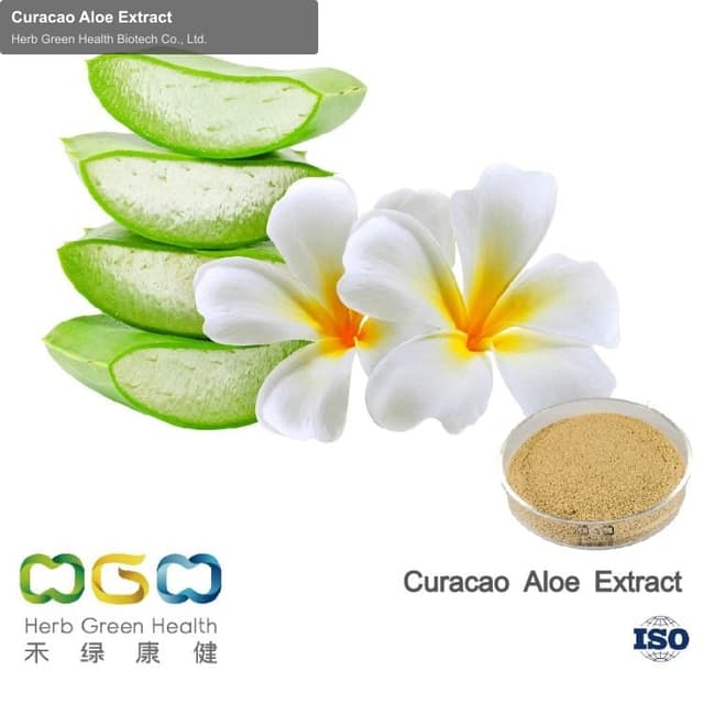 Curacao Aloe Extract