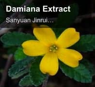 Damiana Extract