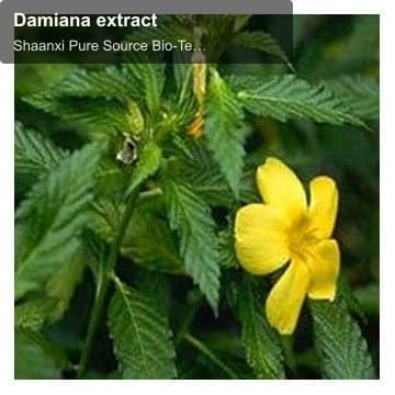 Damiana extract