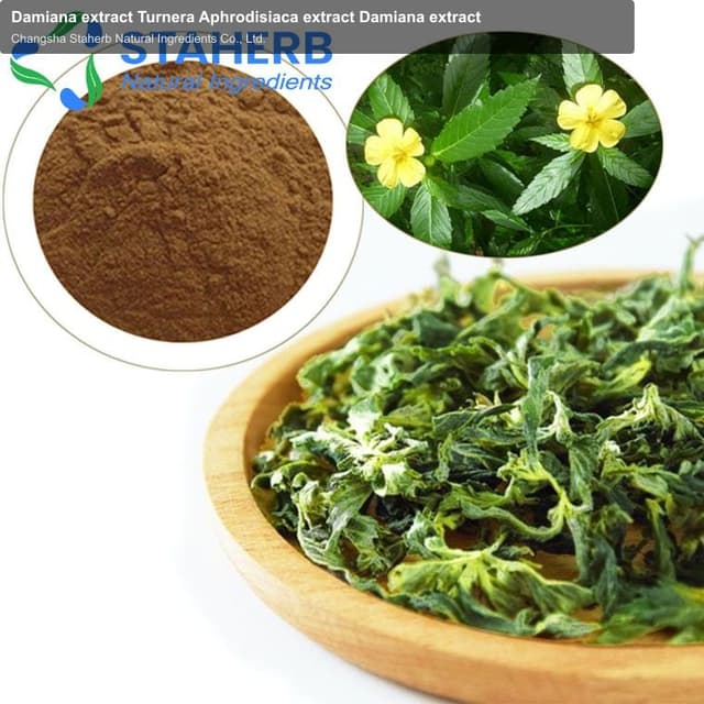 Damiana extract Turnera Aphrodisiaca extract Damiana extract
