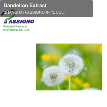 Dandelion Extract