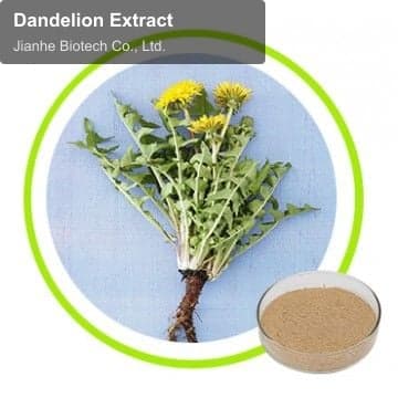 Dandelion Extract