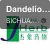 Dandelion Extract