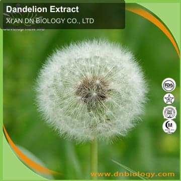 Dandelion Extract