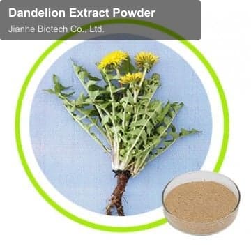 Dandelion Extract Powder