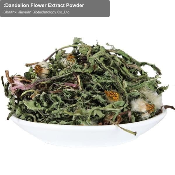 :Dandelion Flower Extract Powder