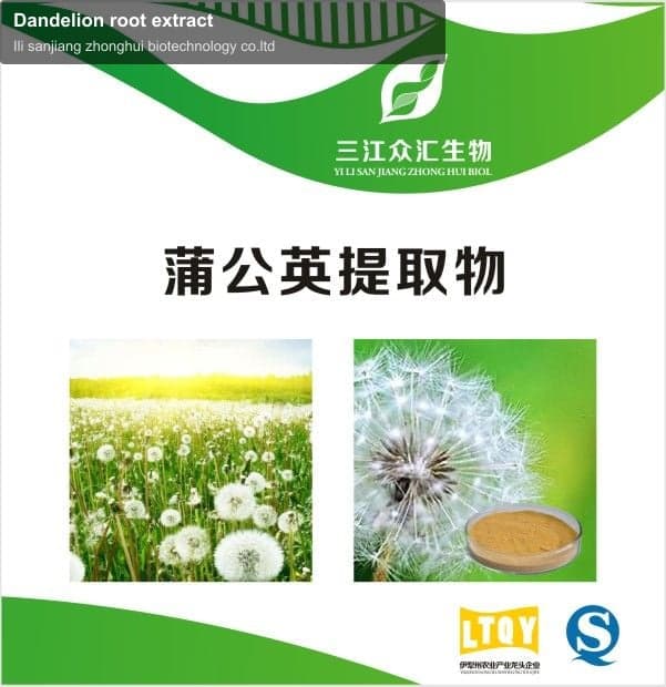 Dandelion root extract