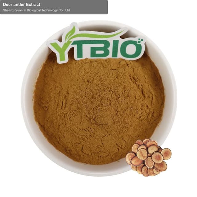 Deer antler Extract