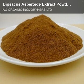Dipsacus Asperoide Extract Powder