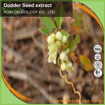 Dodder Seed extract