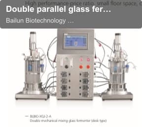 Double parallel glass fermenter (off-site sterilization)