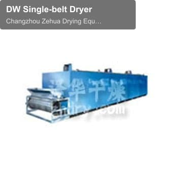 DW Single-belt Dryer