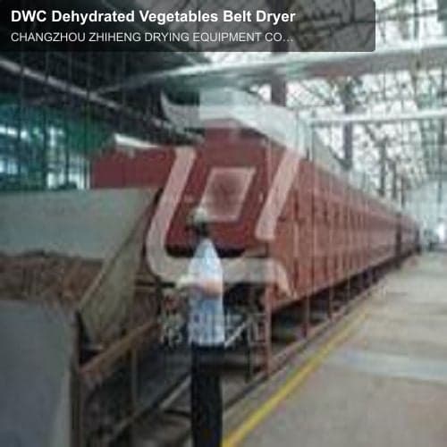 DWC Dehydrated Vegetables Belt Dryer