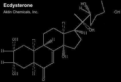Ecdysterone