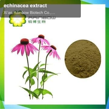 echinacea extract
