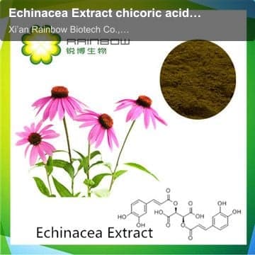 Echinacea Extract chicoric acid 1%