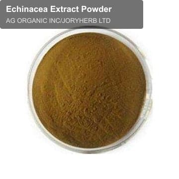 Echinacea Extract Powder