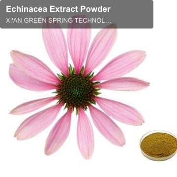 Echinacea Extract Powder