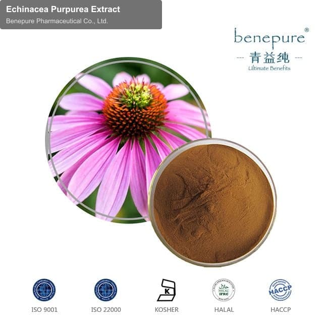 Echinacea Purpurea Extract