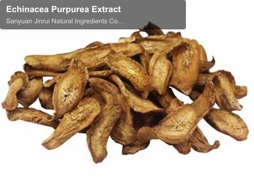 Echinacea Purpurea Extract