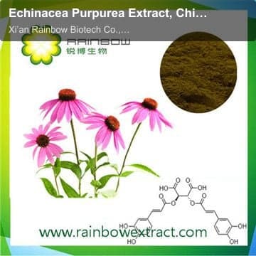 Echinacea Purpurea Extract, Chicoric Acid 1%-4%